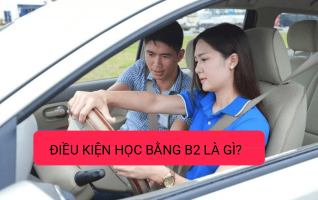 Học lái xe ô tô B2 quận 1